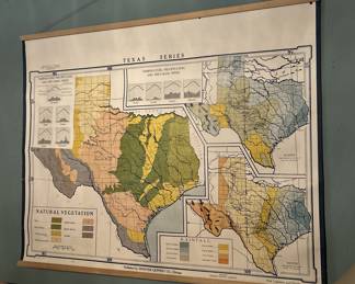 Well preserved Texas wall map- regional vegetation chart
