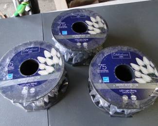 Never used, the warm light type Interior or Exterior Christmas lights