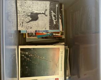 Nature magazines