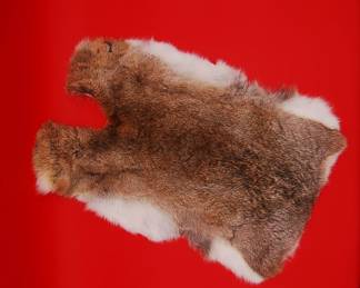 rabbit fur