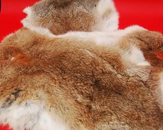 rabbit fur