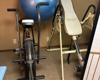 Schwinn, heated inversion table