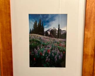 Sean Fitzgerald signed framed print 