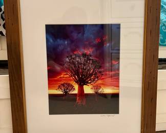 Fantastic signed Sean Fitzgerald framed prints