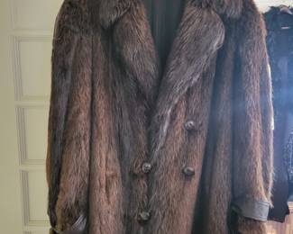 A Beaver Fur Car Coat. 