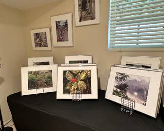 Up Close View of a Few Beautiful Prints to Choose From.