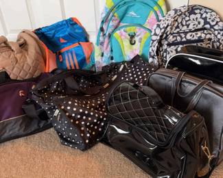 Joan David Adidas High Sierra Reebok Backpacks and Travel Bags