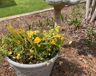 Bird bath, large flower pot