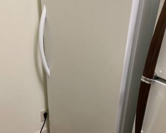 Upright freezer