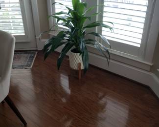 Faux  Plant in White Ceramic Planter