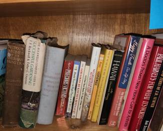 plenty of old books all variety