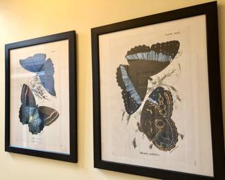 Large butterfly prints