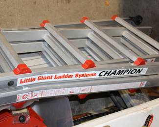 Little Giant with platform and stand-offs; extendable plank