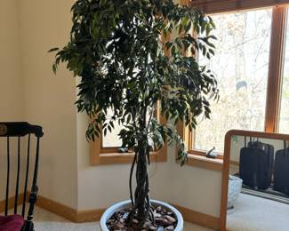 Large faux ficus tree in extra large vintage IKEA ceramic planter.  Planter measures 14 1/2” T x 23” W.  There are a total of three of the IKEA planters 