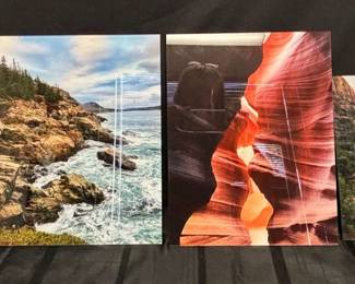 CT878Natural Wonders Art