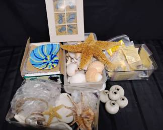 CT768Mystery Sea Life