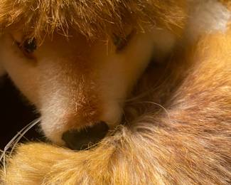 Large Steiff Fox, Fuzzy, Tag and Button in Ear