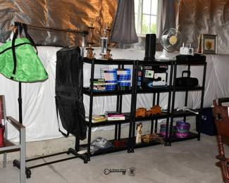 560Basement