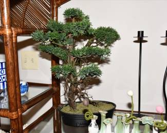 049Living Room