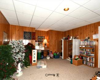 517Basement