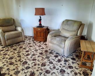 Electric leather recliners, need cleaning