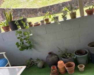 PPE345 Out Door Plants 