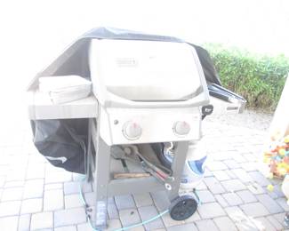 Weber Grill