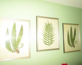 Framed Wall Art