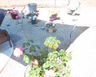Potted Florals