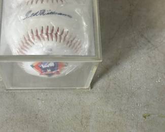 Ted Williams Tunnel Ball