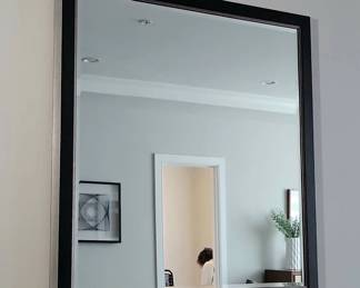 Black Silver Beveled Mirror