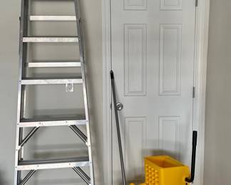 ACE Wringer Bucket and WERNER Ladder