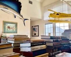 Sailfish & Advertising Plane