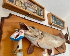Muskie & Shadow Box Collectibles