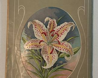 1911 Seeds and Bulbs Catalog