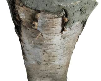 4Elements Studio Birch Vase Signed
