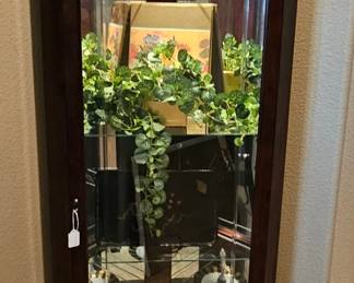 Corner curio cabinet with lights