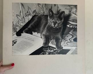 77Mar 25 2025 05 59pmNKAY