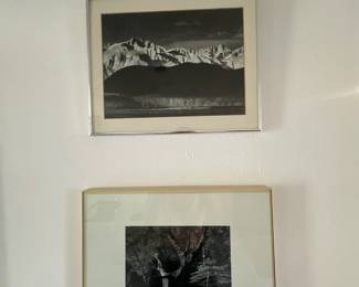 10Mar 25 2025 05 10pm5fVB