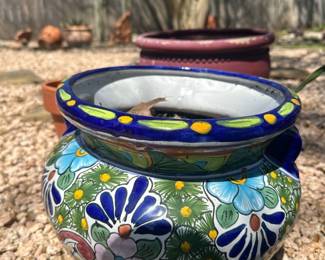 85Mar 25 2025 06 02pmzwMN