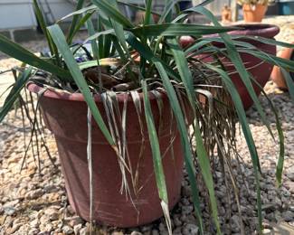 84Mar 25 2025 06 02pmnQ2W