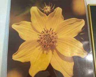 27Mar 25 2025 05 18pmNnMj