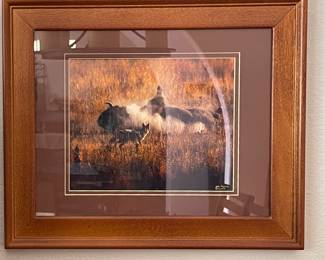 JOHN ENGLISH SIGNED FRAMED BUFFALO & COYOTE IN YELLOWSTONE PICTURE