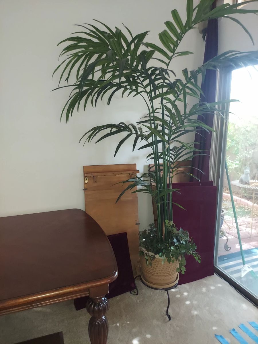 super-adorable-and-pristeen-in-mesa-this-starts-on-3-20-2025