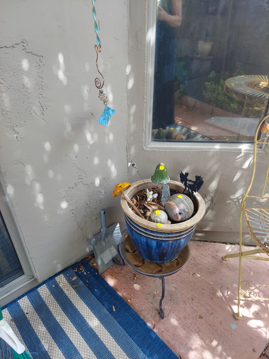 super-adorable-and-pristeen-in-mesa-this-starts-on-3-20-2025