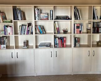 Library wall unit