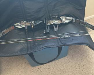 Bow and Arrow in case