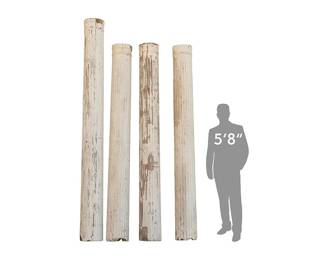 Classical Style Architectural Columns