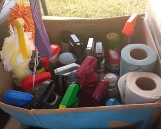 Insanity with cleaning products!