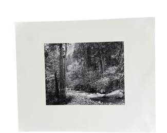 Ansel Adams